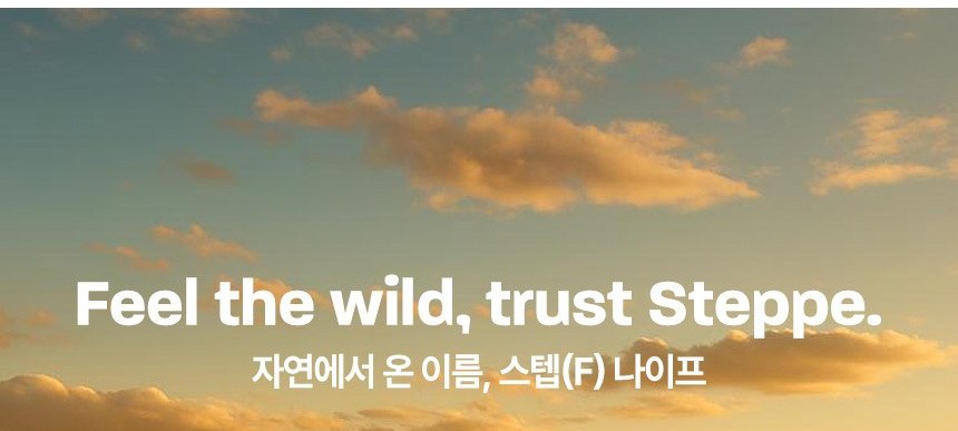 커쇼 스텝(F) 스톤워시 나이프 16